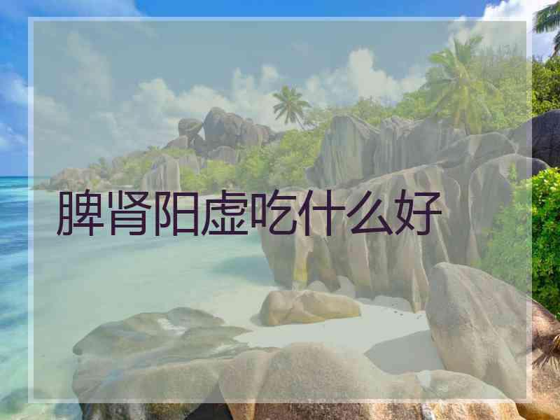 脾肾阳虚吃什么好