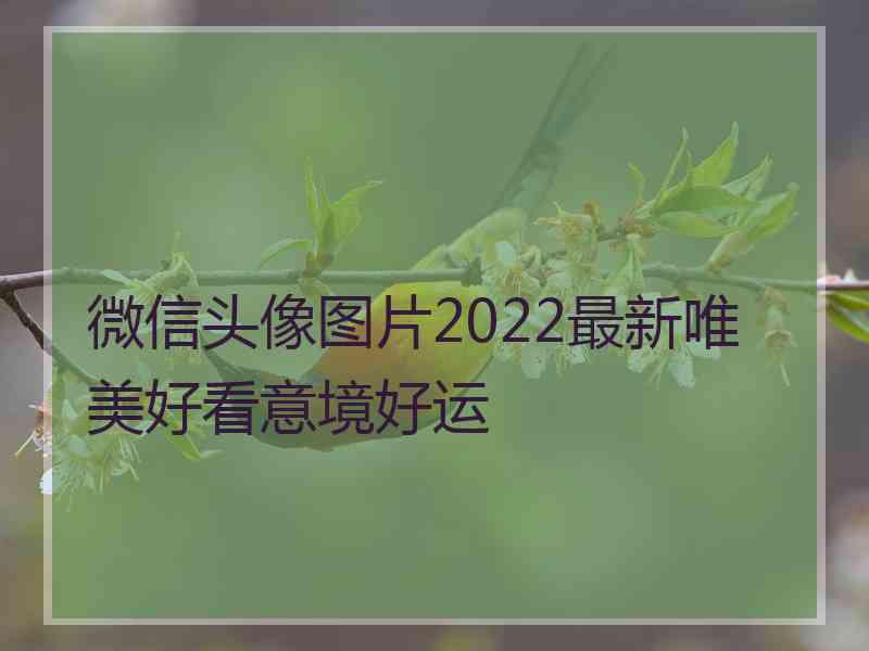 微信头像图片2022最新唯美好看意境好运