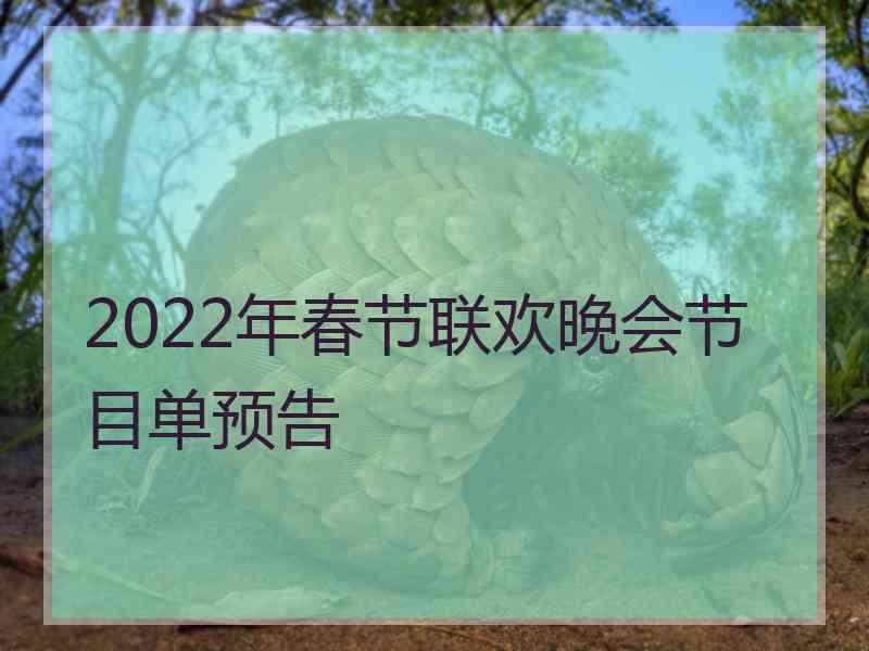 2022年春节联欢晚会节目单预告