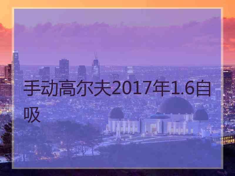 手动高尔夫2017年1.6自吸
