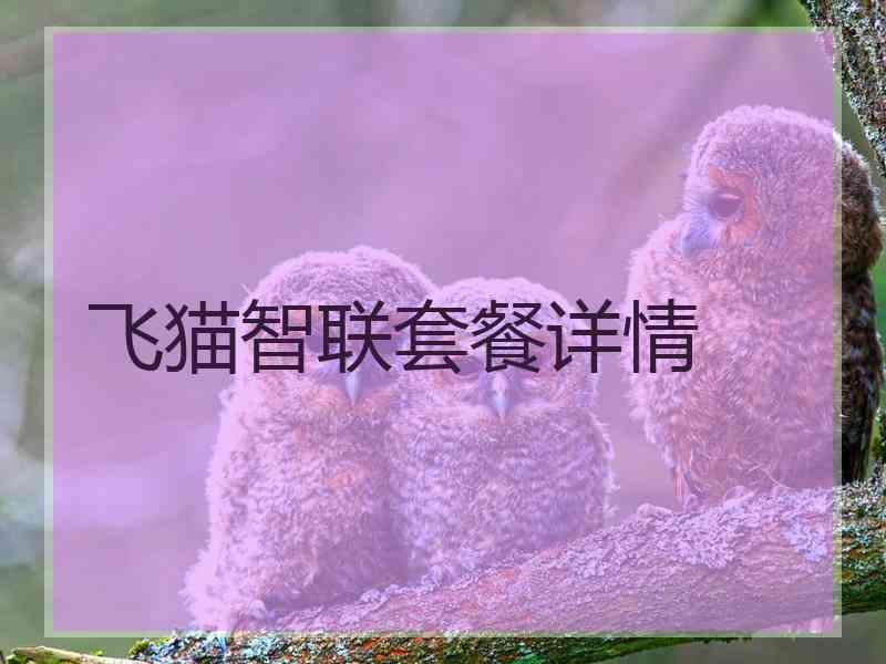 飞猫智联套餐详情