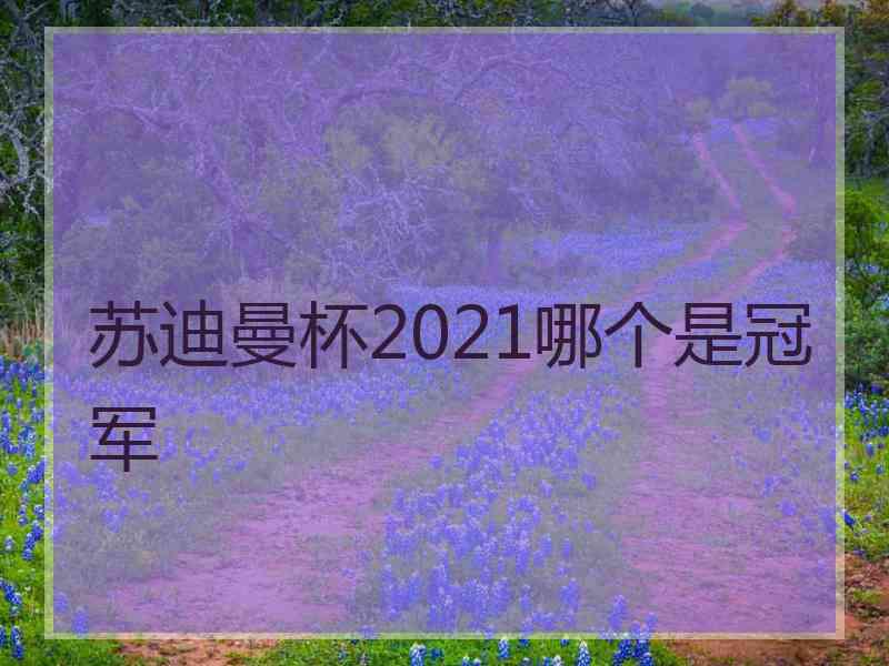 苏迪曼杯2021哪个是冠军