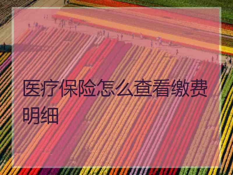 医疗保险怎么查看缴费明细