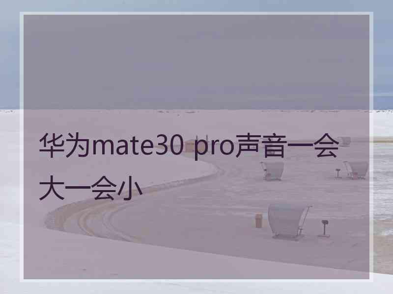 华为mate30 pro声音一会大一会小