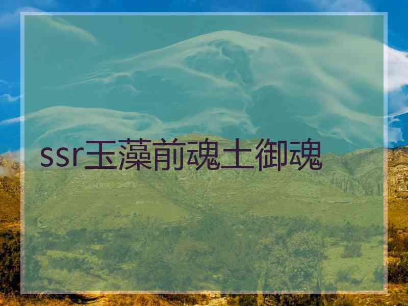 ssr玉藻前魂土御魂