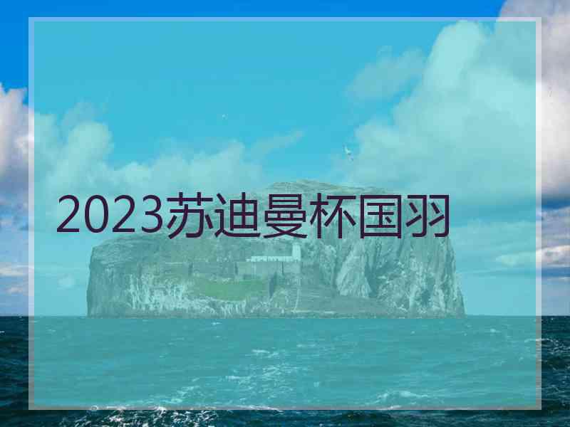 2023苏迪曼杯国羽