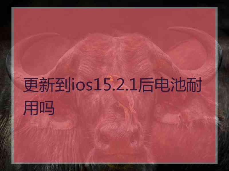 更新到ios15.2.1后电池耐用吗