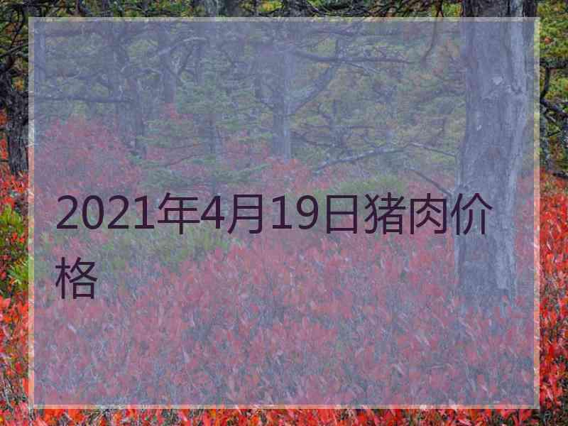 2021年4月19日猪肉价格