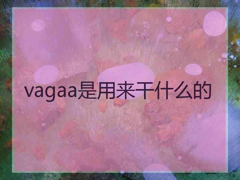vagaa是用来干什么的