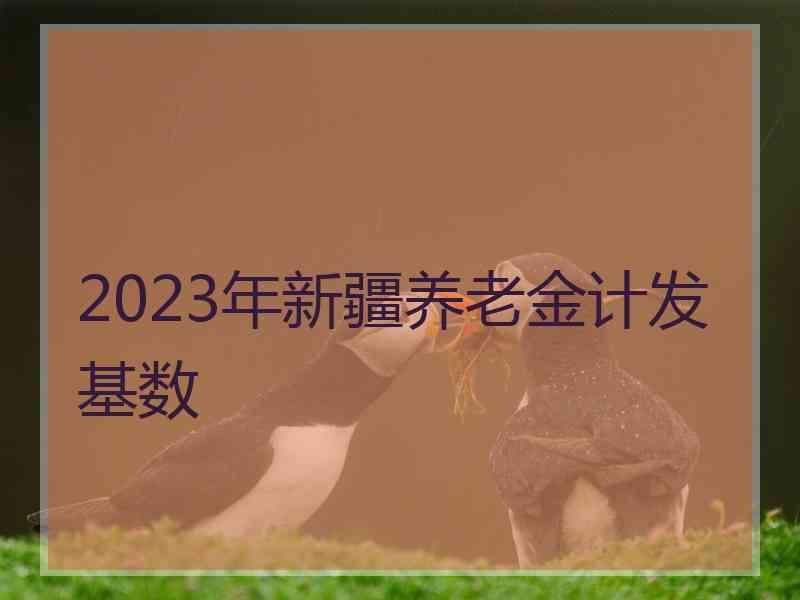 2023年新疆养老金计发基数