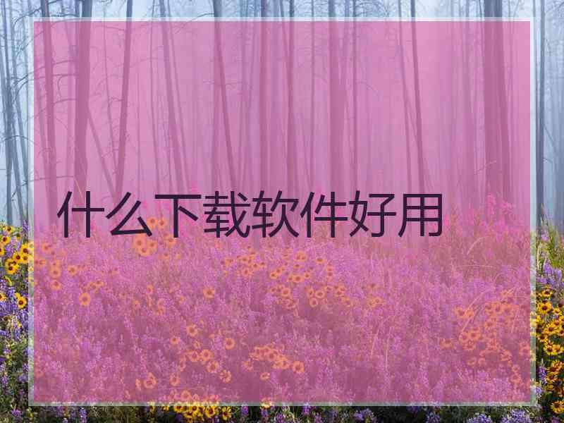 什么下载软件好用