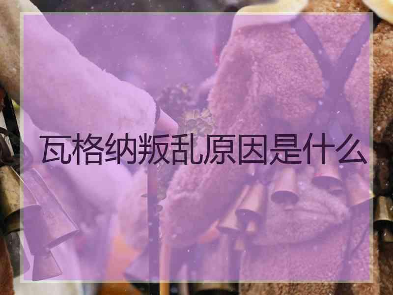 瓦格纳叛乱原因是什么