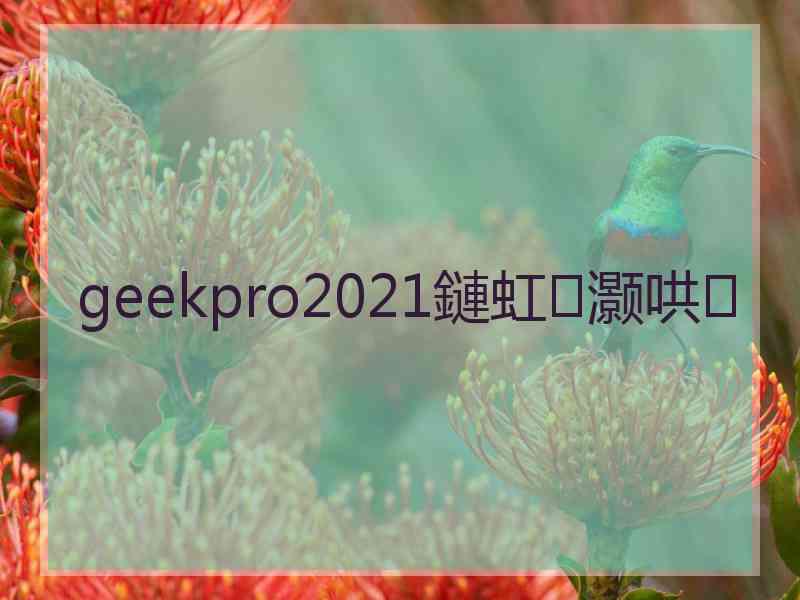 geekpro2021鏈虹灏哄