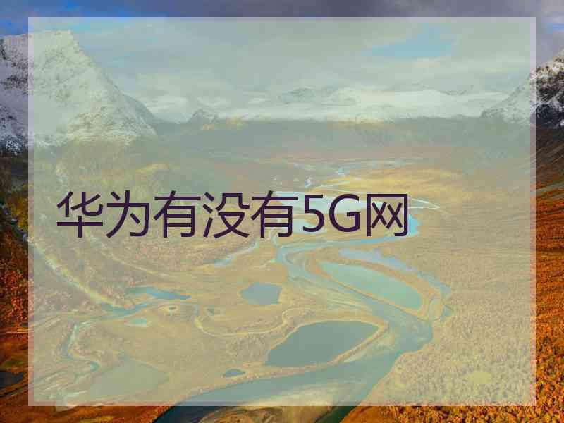 华为有没有5G网