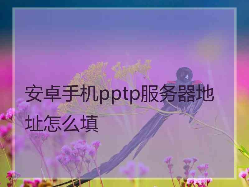 安卓手机pptp服务器地址怎么填