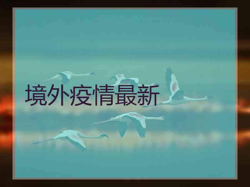 境外疫情最新