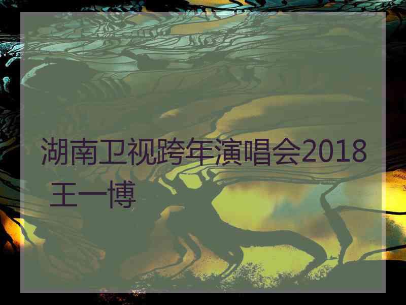 湖南卫视跨年演唱会2018 王一博