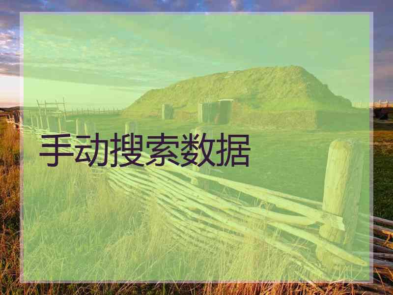 手动搜索数据