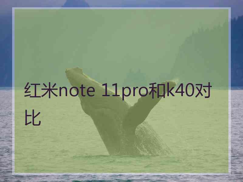 红米note 11pro和k40对比