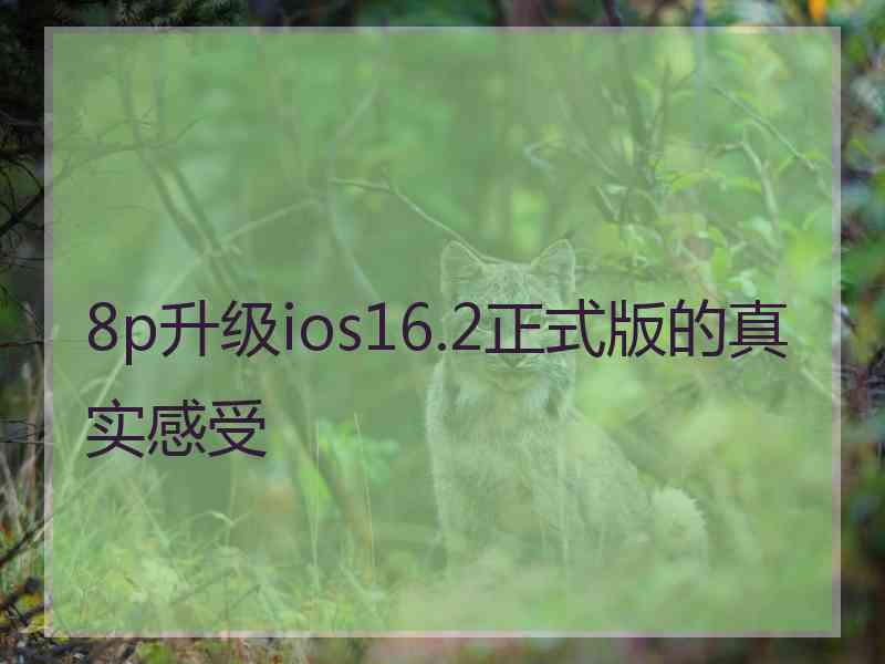 8p升级ios16.2正式版的真实感受