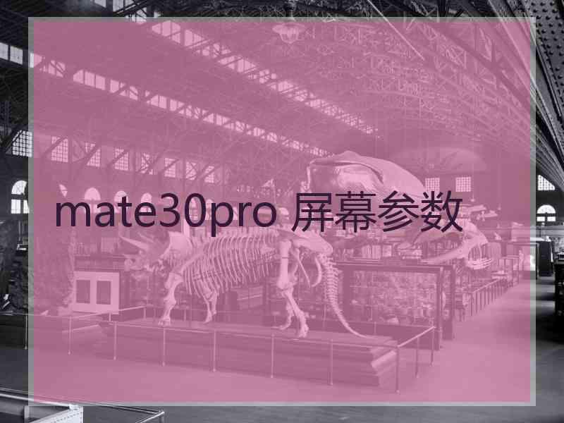 mate30pro 屏幕参数