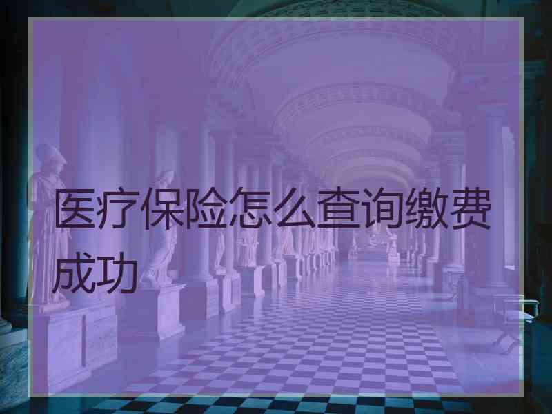 医疗保险怎么查询缴费成功