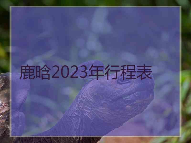 鹿晗2023年行程表