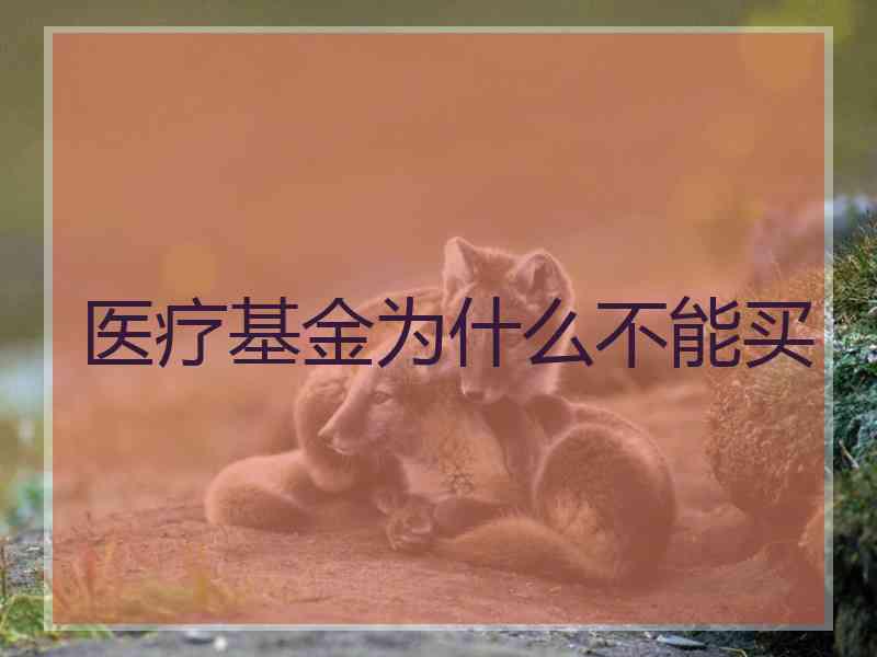 医疗基金为什么不能买
