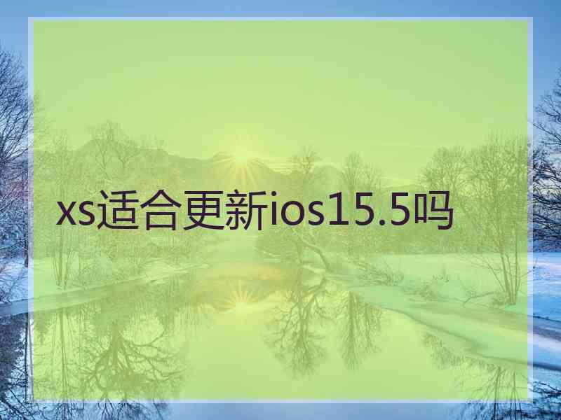xs适合更新ios15.5吗