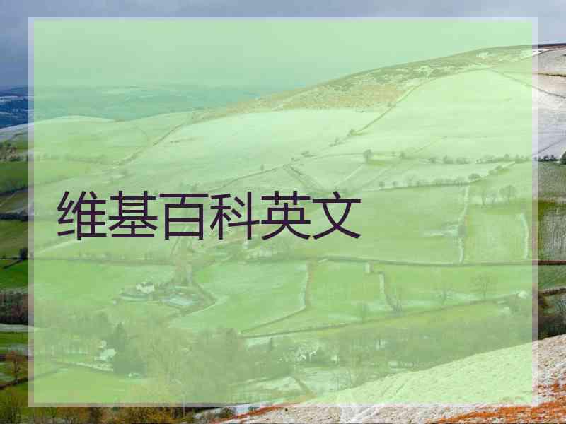 维基百科英文