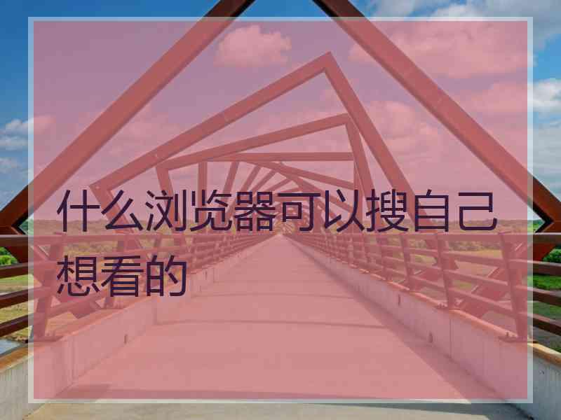什么浏览器可以搜自己想看的