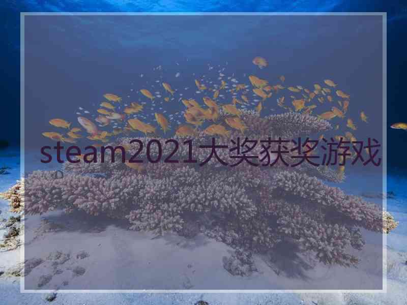 steam2021大奖获奖游戏