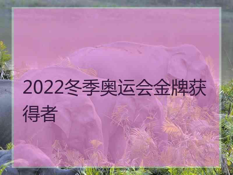 2022冬季奥运会金牌获得者