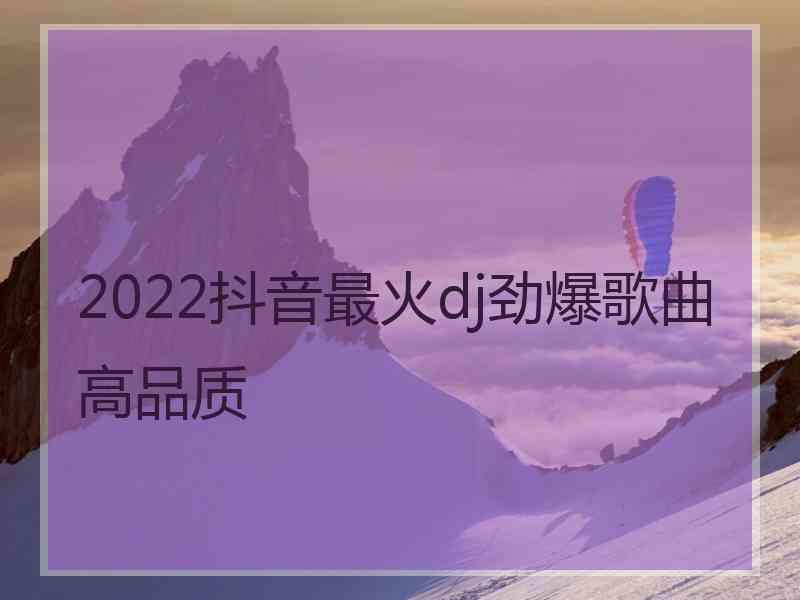 2022抖音最火dj劲爆歌曲高品质