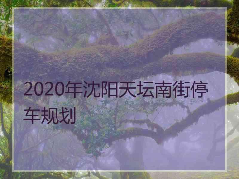 2020年沈阳天坛南街停车规划