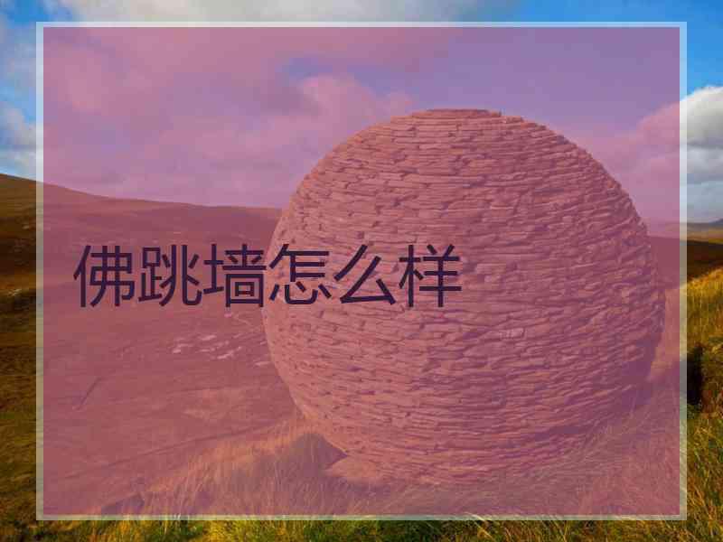 佛跳墙怎么样