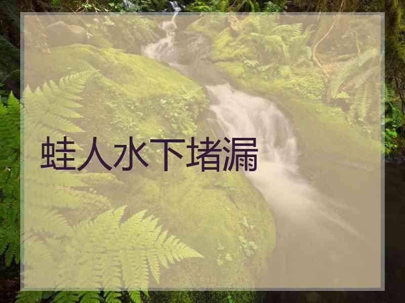 蛙人水下堵漏