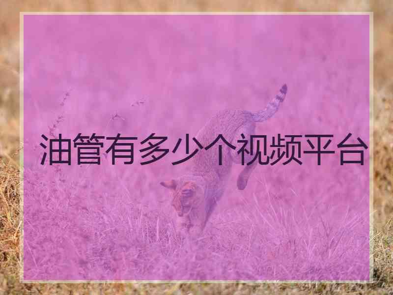 油管有多少个视频平台