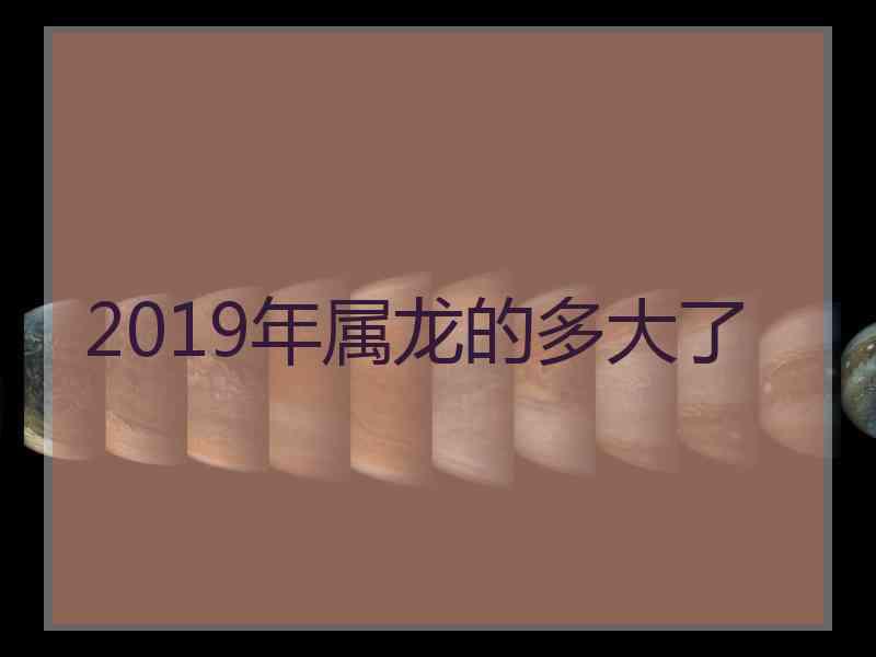 2019年属龙的多大了