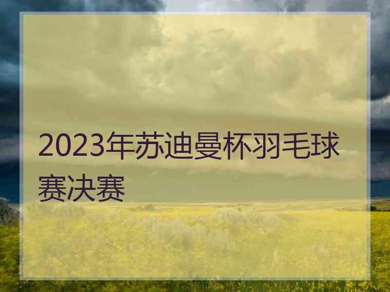 2023年苏迪曼杯羽毛球赛决赛