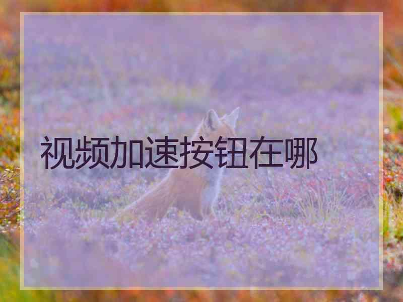 视频加速按钮在哪