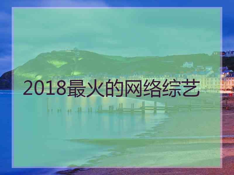 2018最火的网络综艺