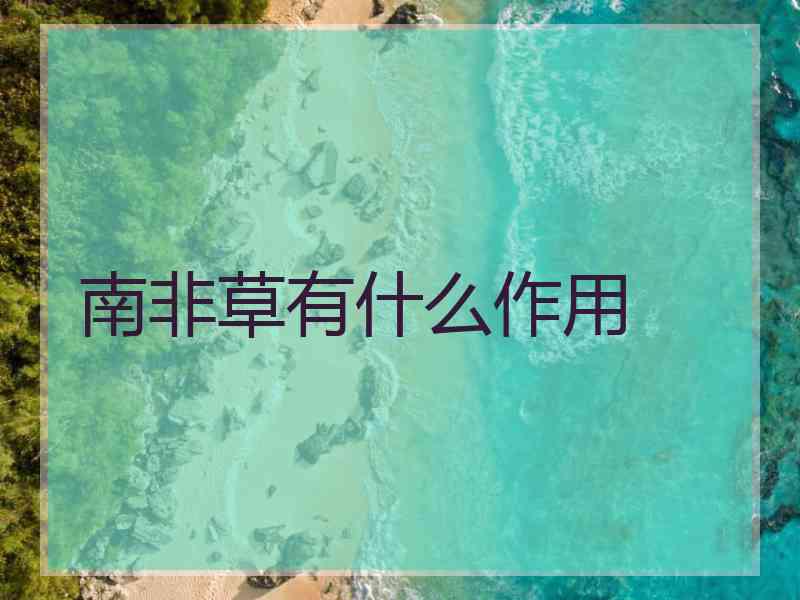 南非草有什么作用