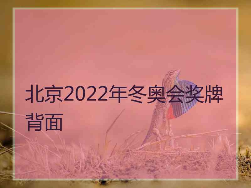 北京2022年冬奥会奖牌背面