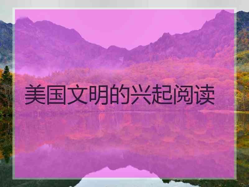 美国文明的兴起阅读