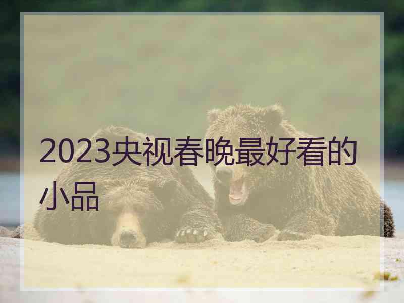 2023央视春晚最好看的小品