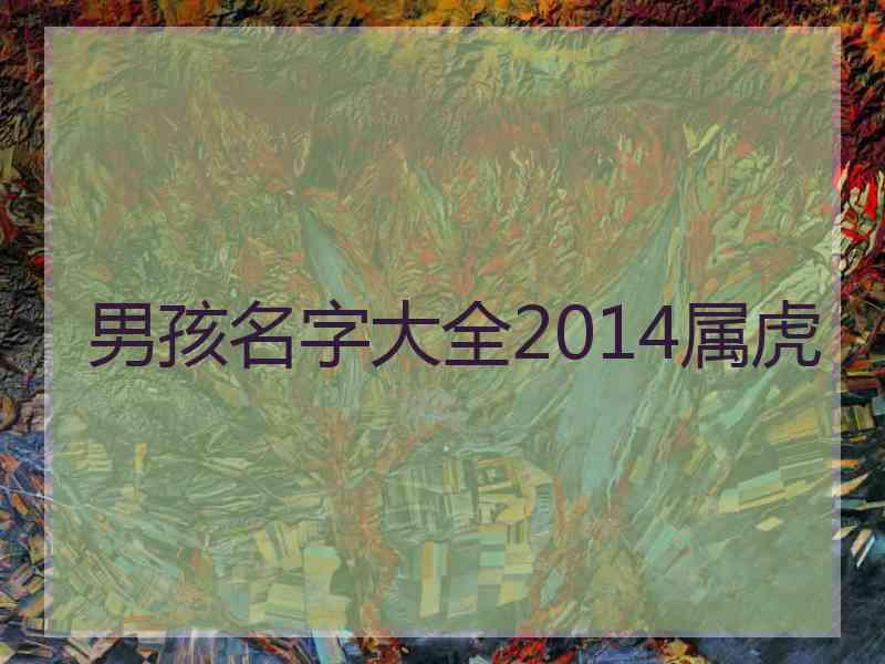 男孩名字大全2014属虎