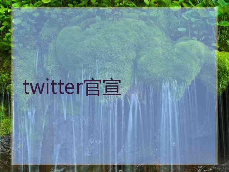 twitter官宣
