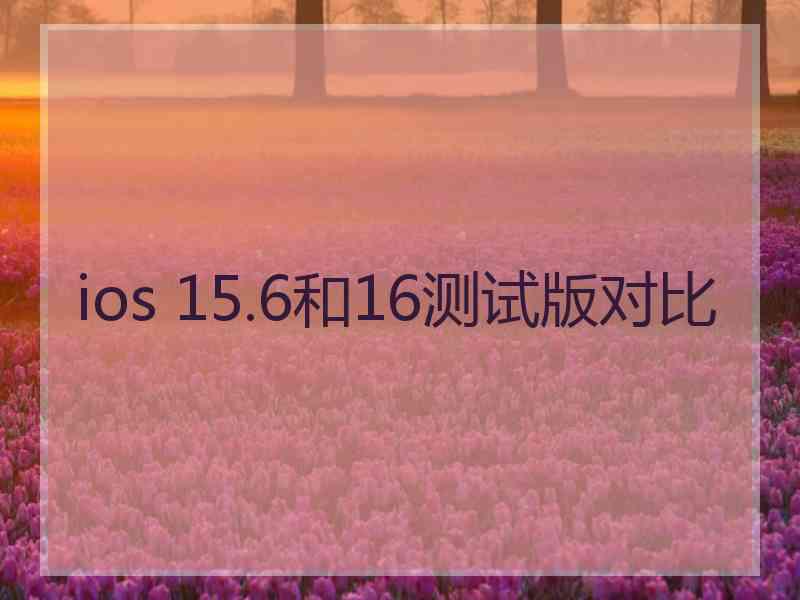 ios 15.6和16测试版对比