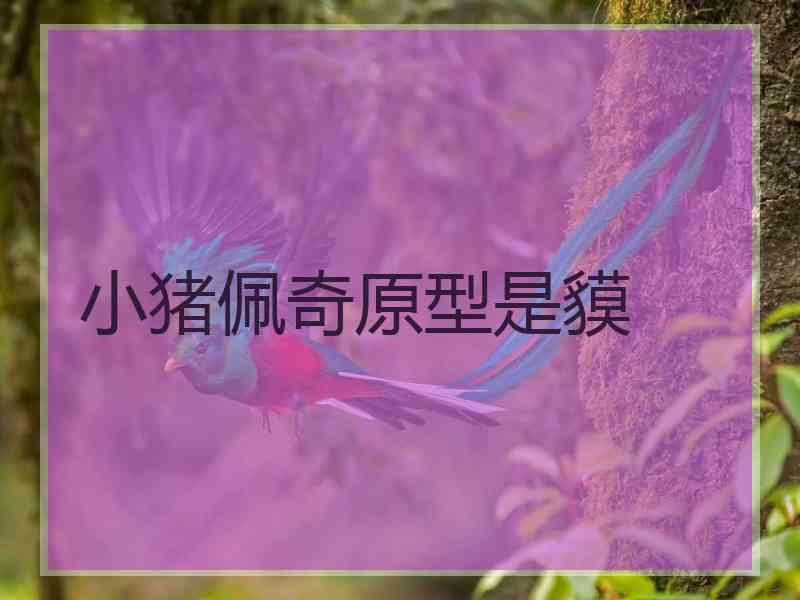 小猪佩奇原型是貘